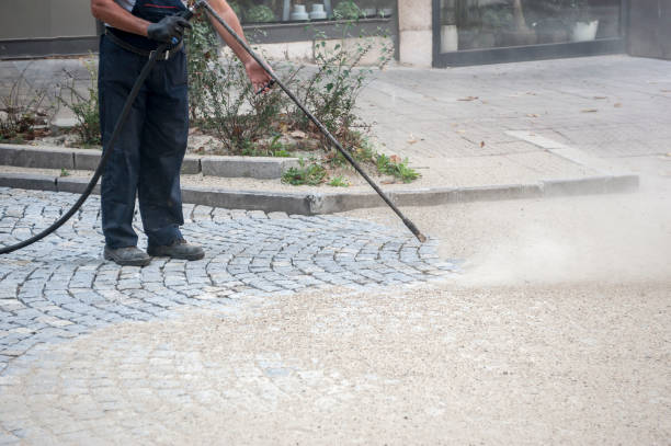 Best Gutter Cleaning  in Massapequa, NY