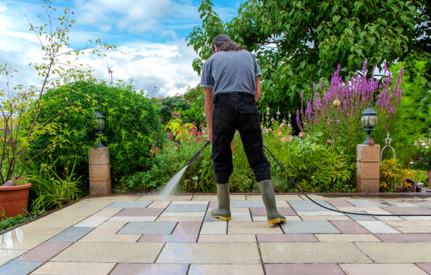 Best Winterizing Services  in Massapequa, NY